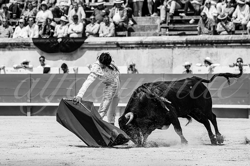 20250607 nimes nov 010