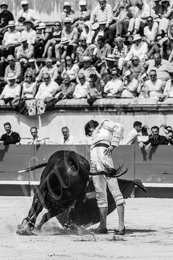 20250607 nimes nov 009