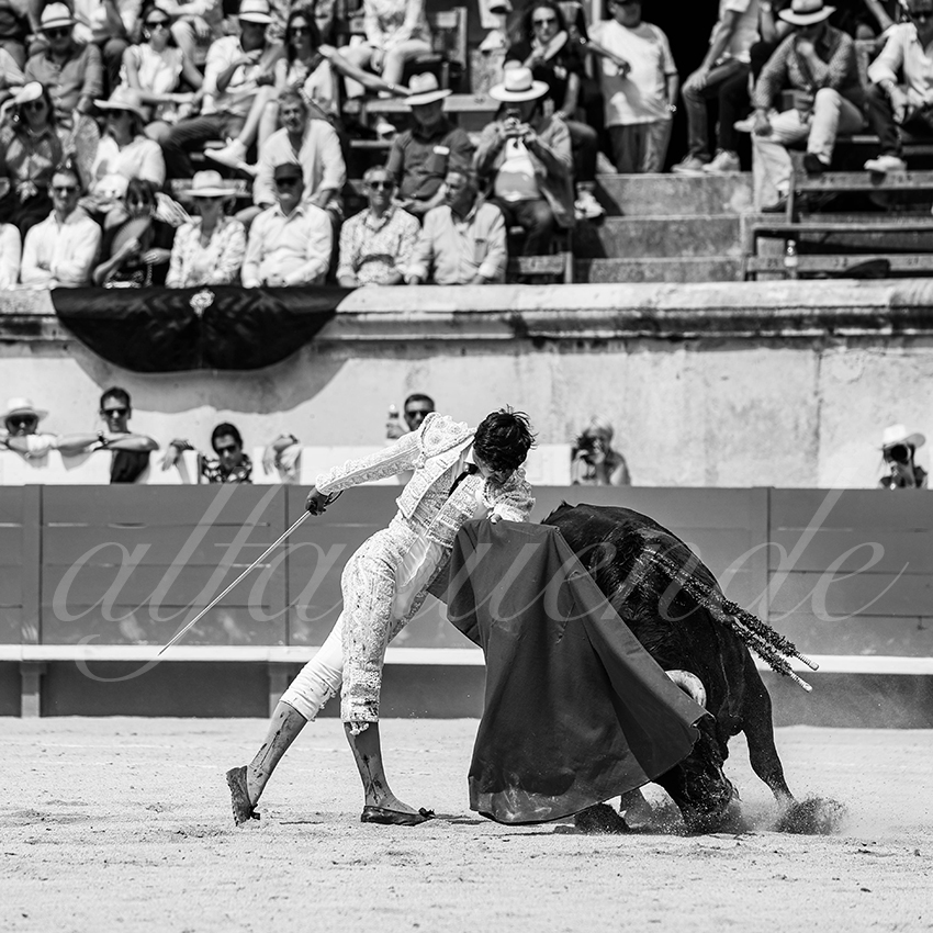 20250607 nimes nov 008