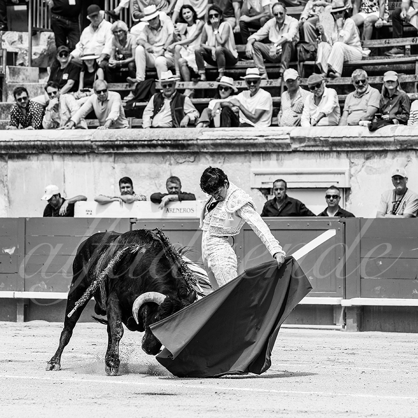 20250607 nimes nov 007