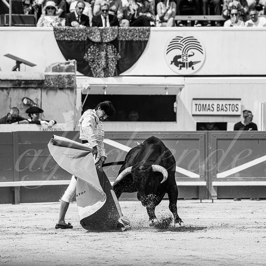 20250607 nimes nov 006