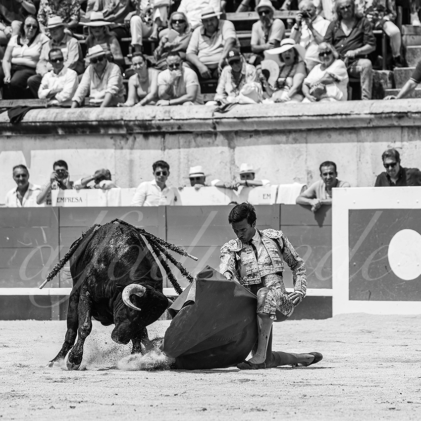 20250607 nimes nov 005