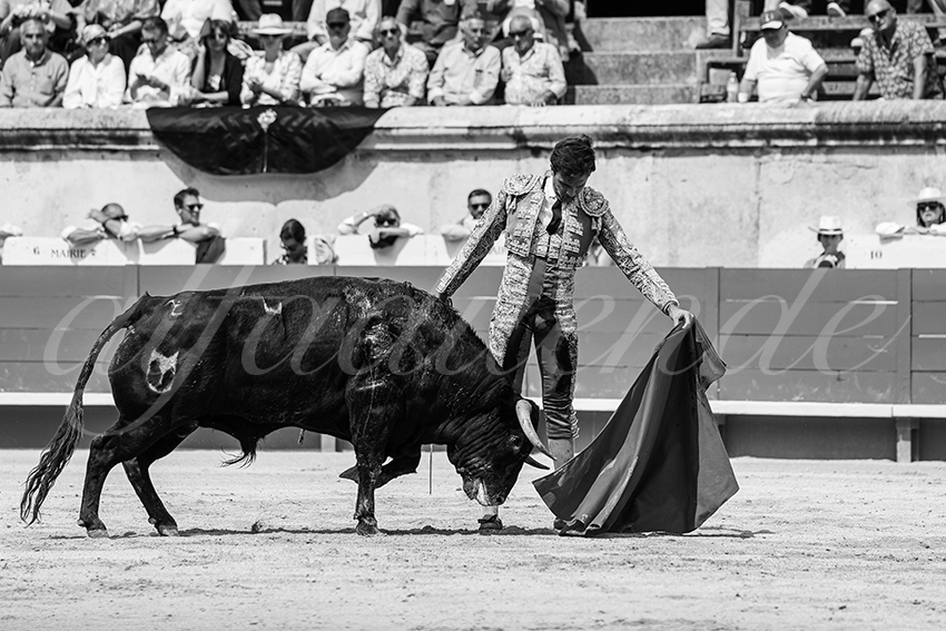 20250607 nimes nov 004