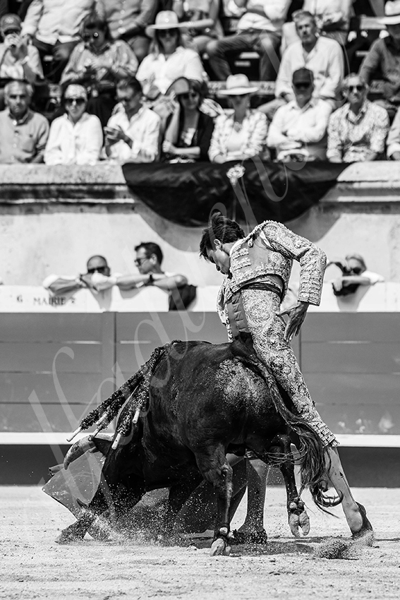 20250607 nimes nov 003