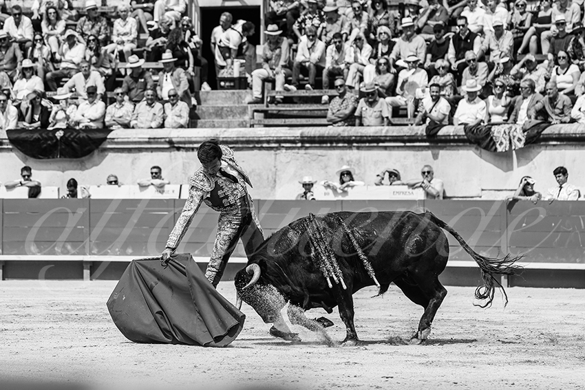 20250607 nimes nov 002