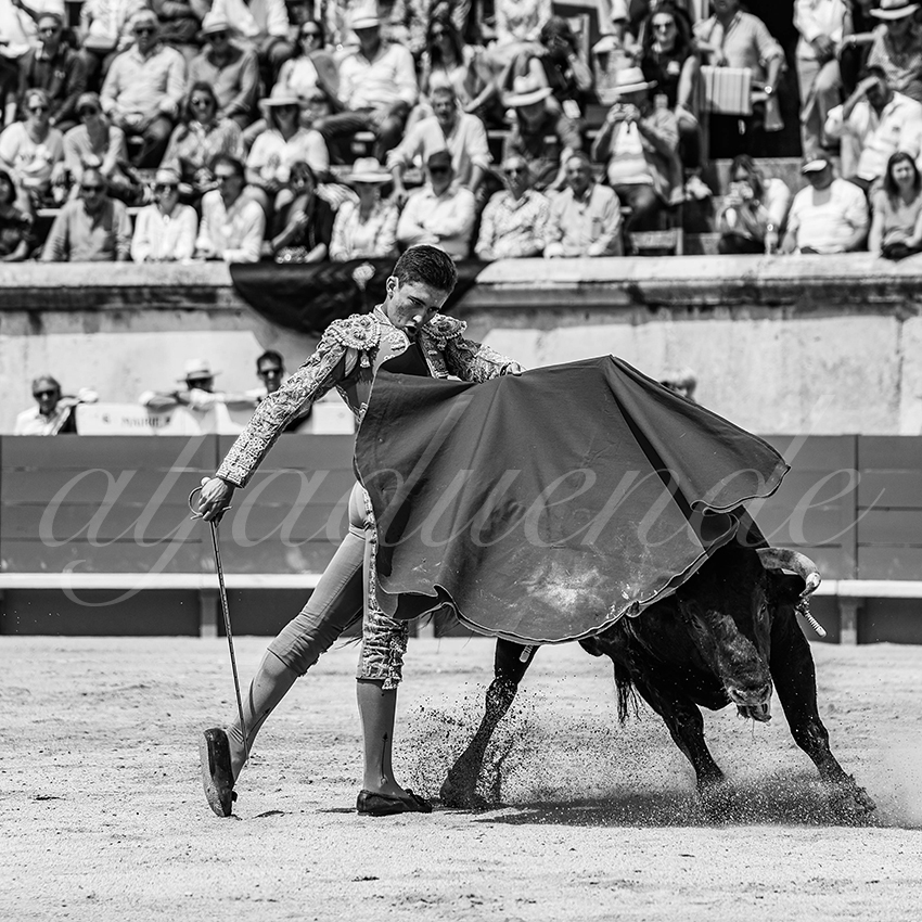 20250607 nimes nov 022