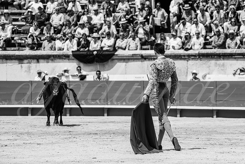 20250607 nimes nov 021