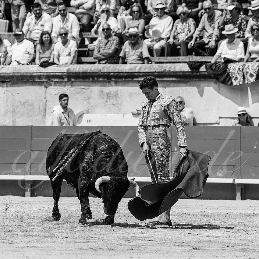 20250607 nimes nov 020