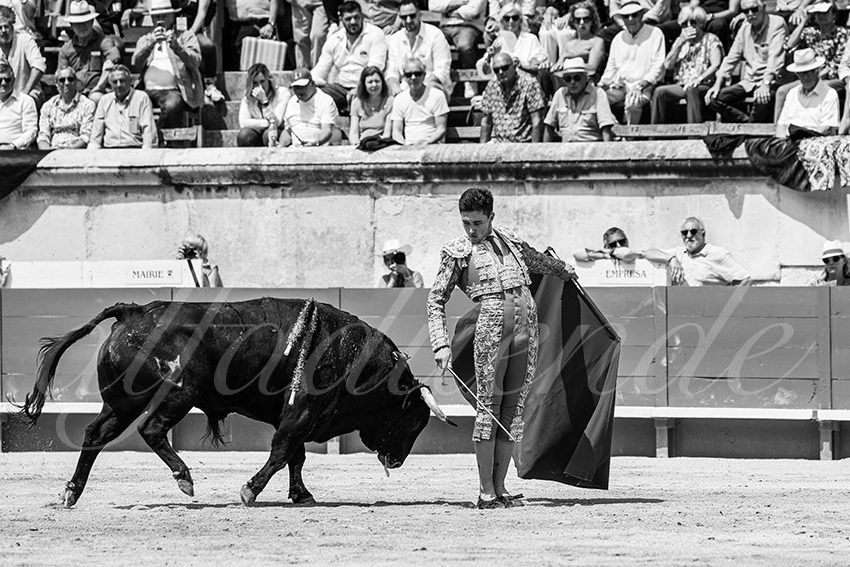 20250607 nimes nov 019