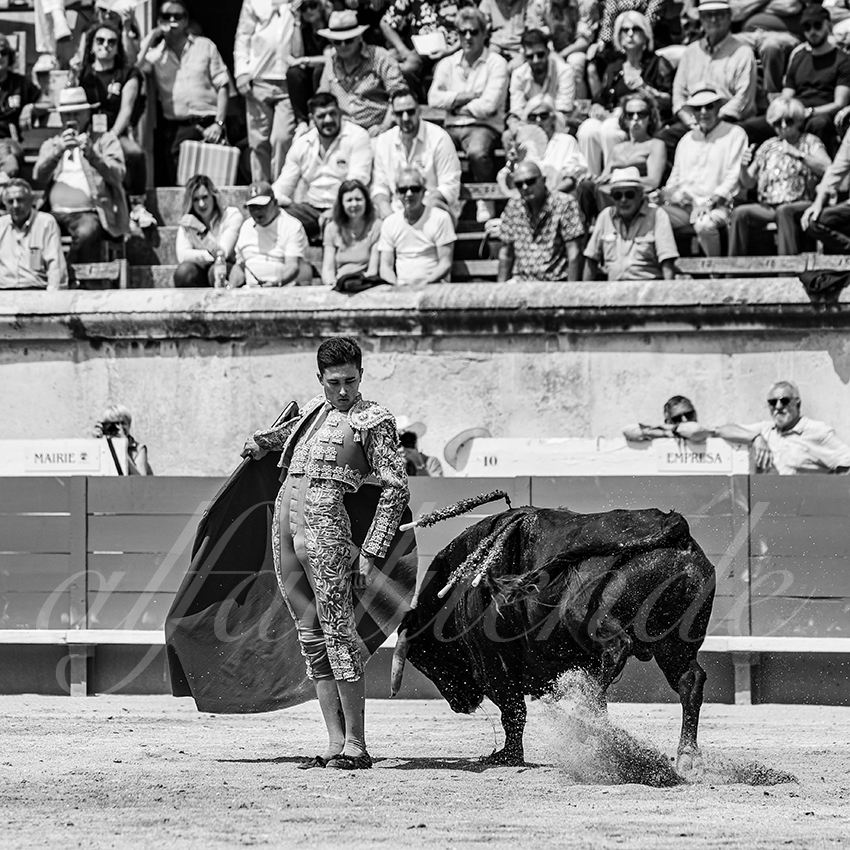 20250607 nimes nov 018