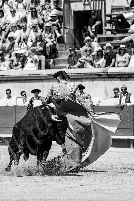 20250607 nimes nov 017