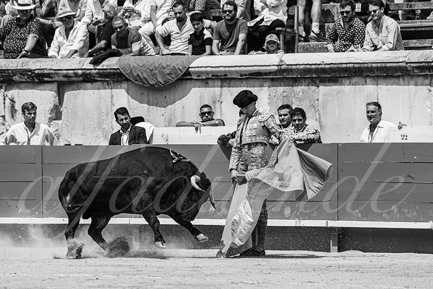 20250607 nimes nov 016