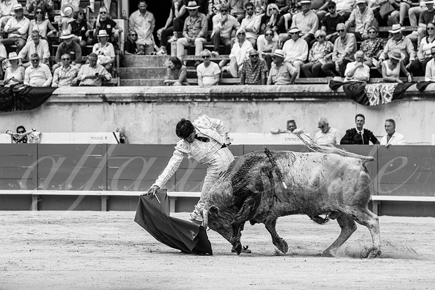 20250607 nimes nov 015