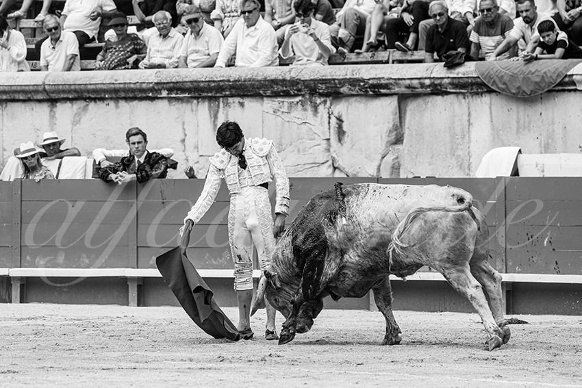 20250607 nimes nov 014