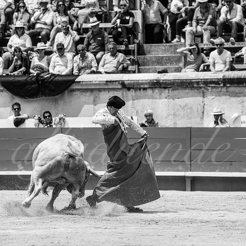 20250607 nimes nov 013