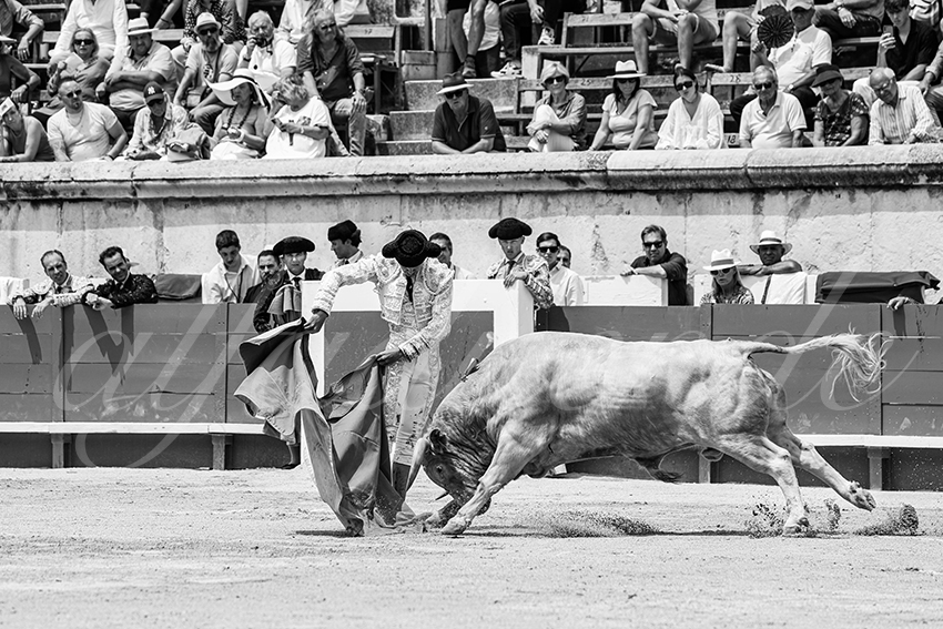 20250607 nimes nov 012