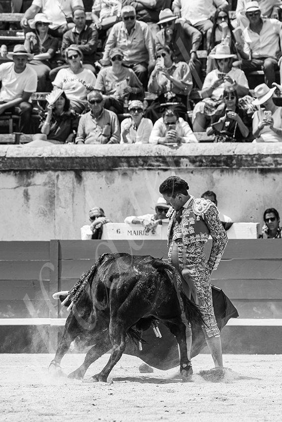 20250607 nimes nov 037