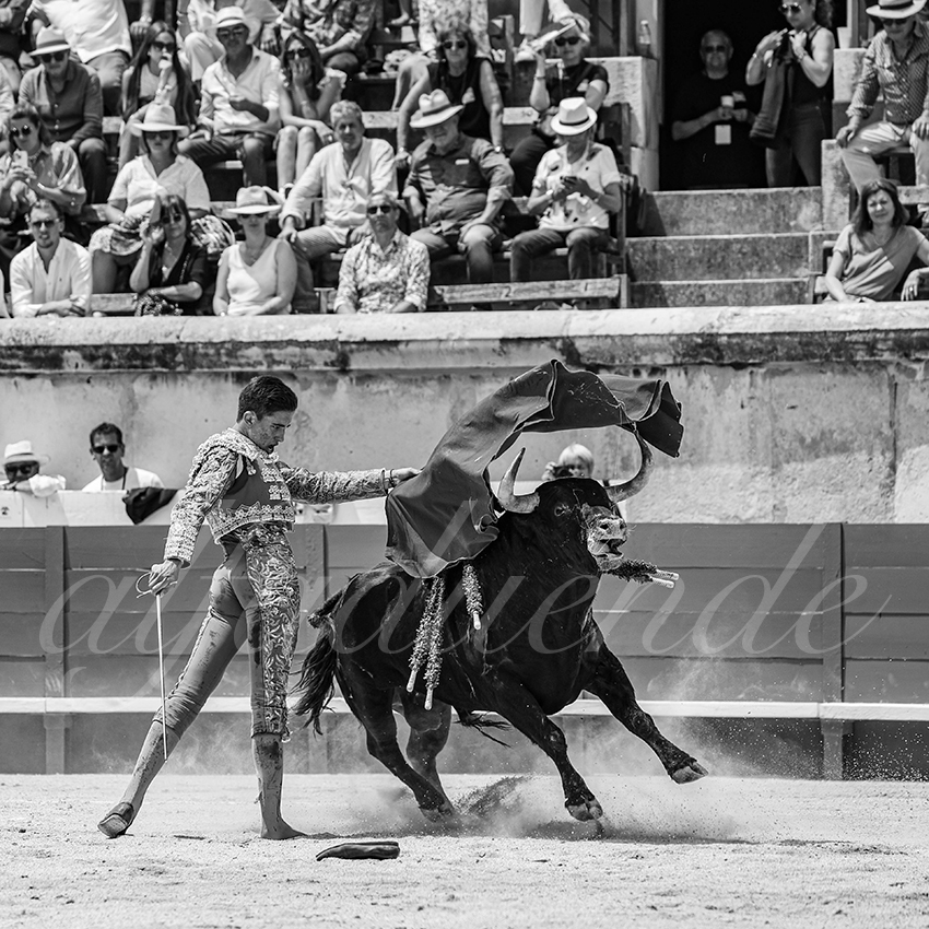 20250607 nimes nov 036