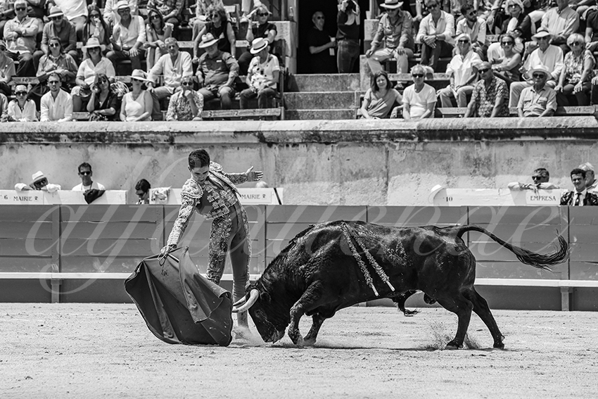 20250607 nimes nov 035