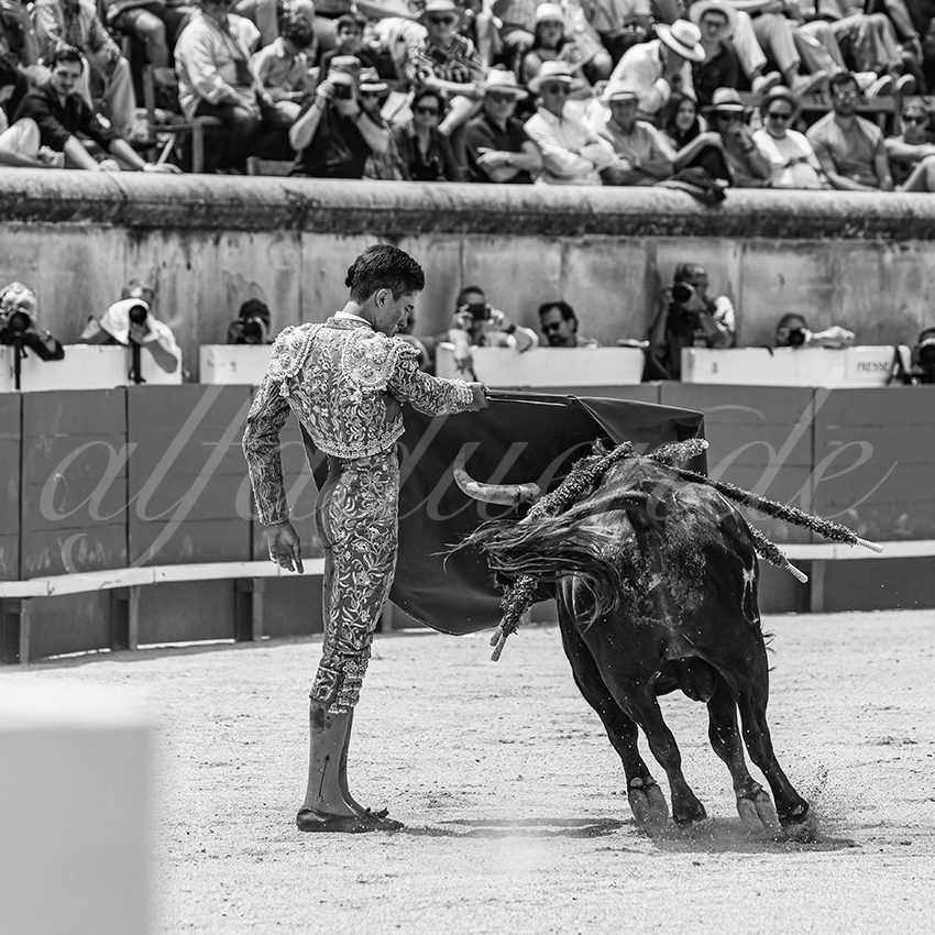 20250607 nimes nov 034