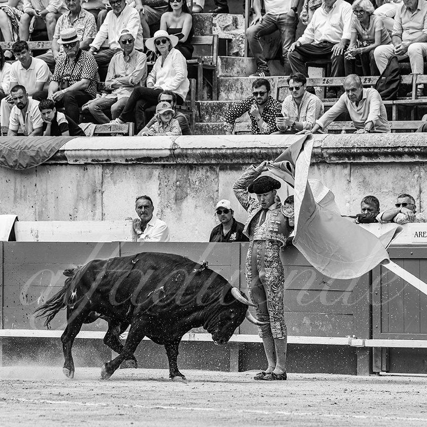 20250607 nimes nov 033