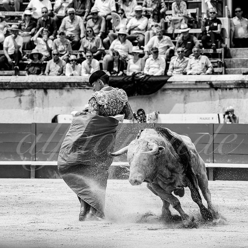 20250607 nimes nov 032