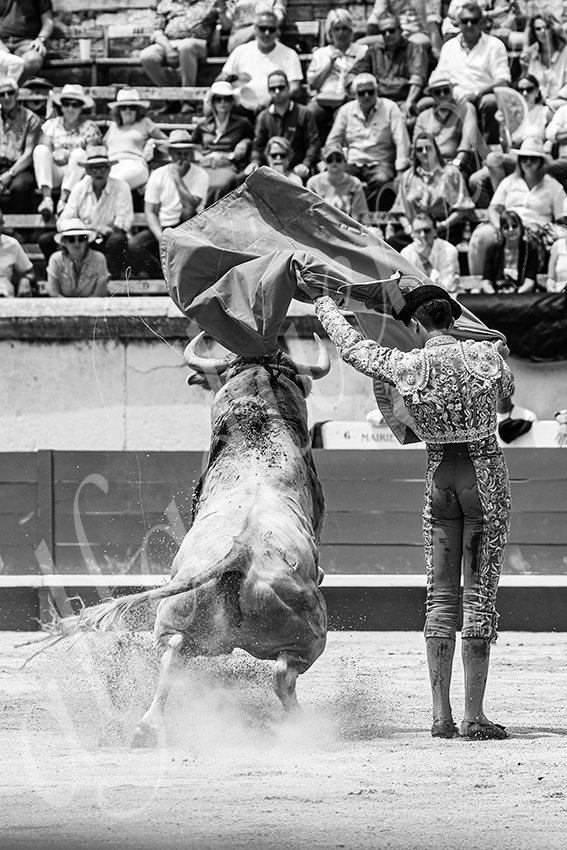 20250607 nimes nov 031