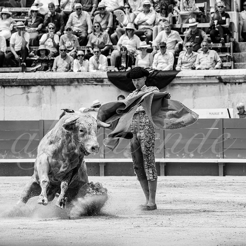 20250607 nimes nov 030