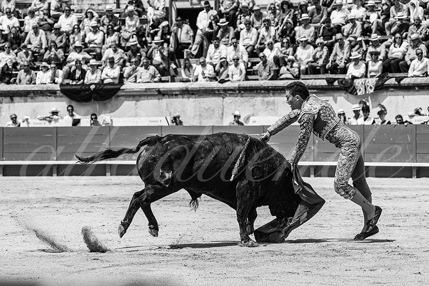 20250607 nimes nov 028