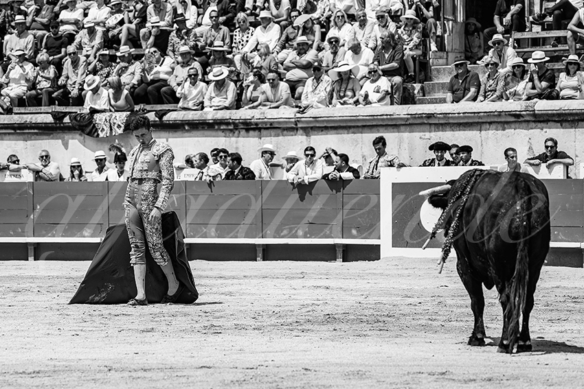 20250607 nimes nov 027