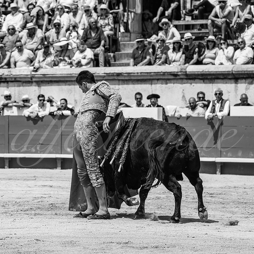 20250607 nimes nov 026