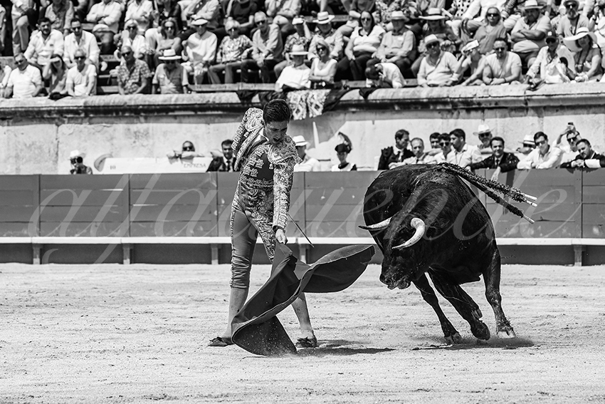 20250607 nimes nov 025