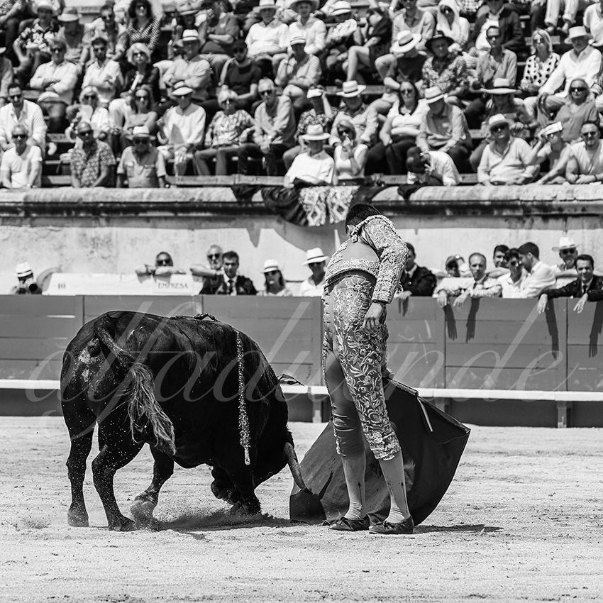 20250607 nimes nov 024