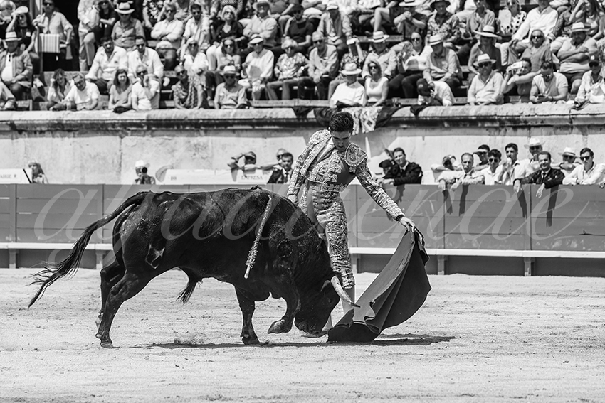 20250607 nimes nov 023