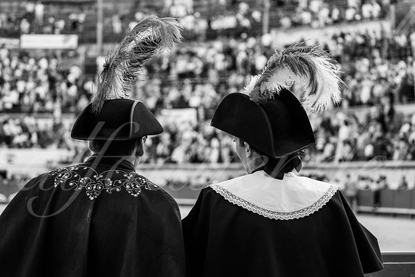 20250608 nimes tarde 027