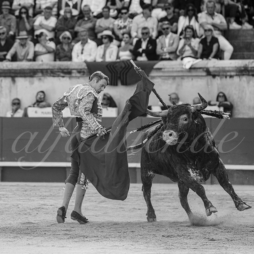 20250608 nimes tarde 023