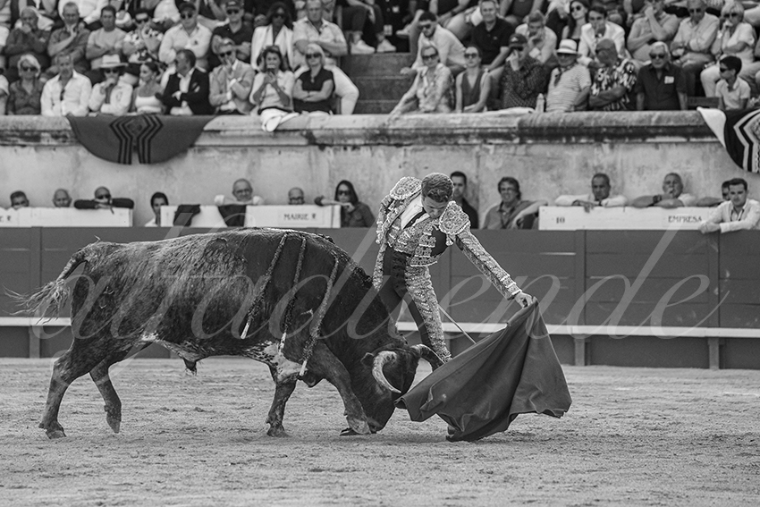 20250608 nimes tarde 022