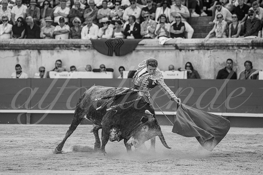 20250608 nimes tarde 021
