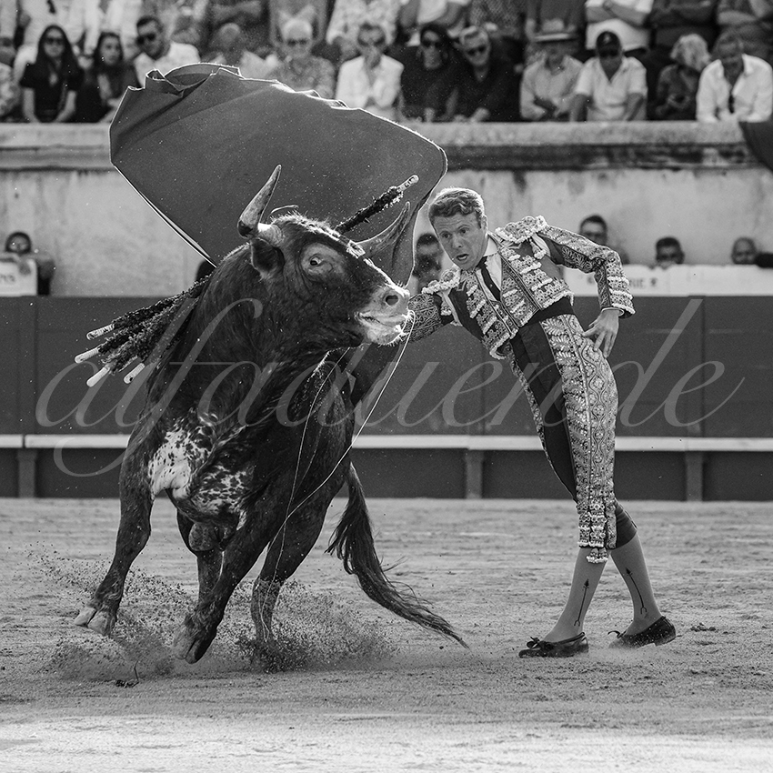 20250608 nimes tarde 020