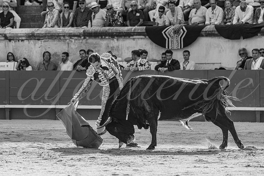 20250608 nimes tarde 019