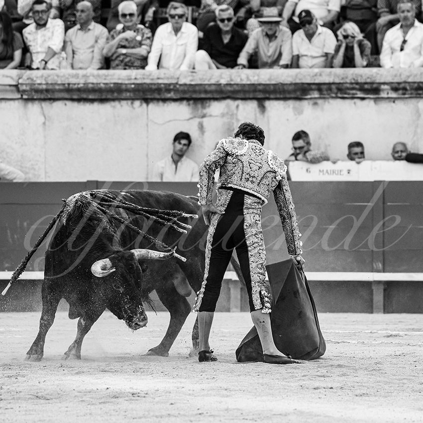 20250608 nimes tarde 018