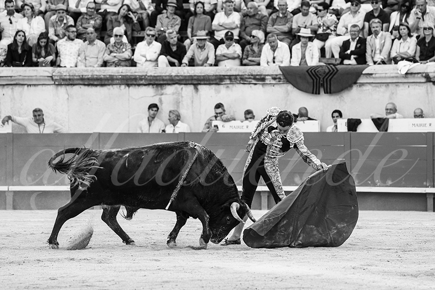 20250608 nimes tarde 017