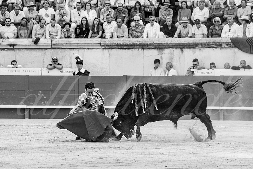 20250608 nimes tarde 016