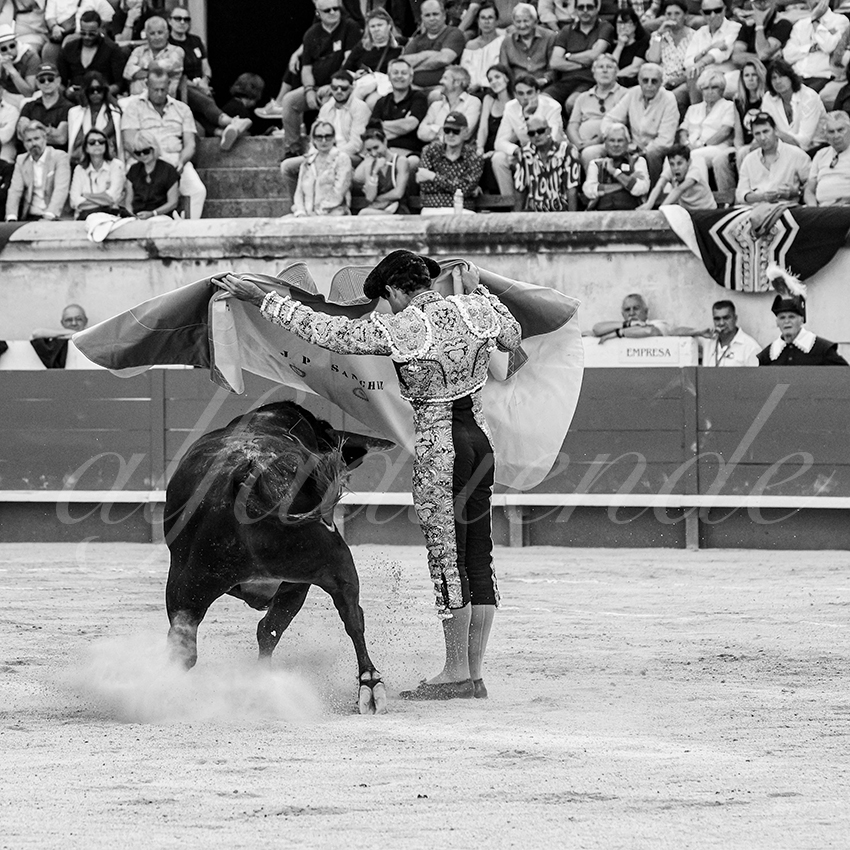 20250608 nimes tarde 015