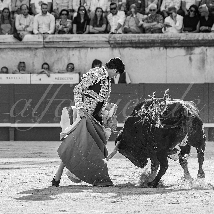 20250608 nimes tarde 014