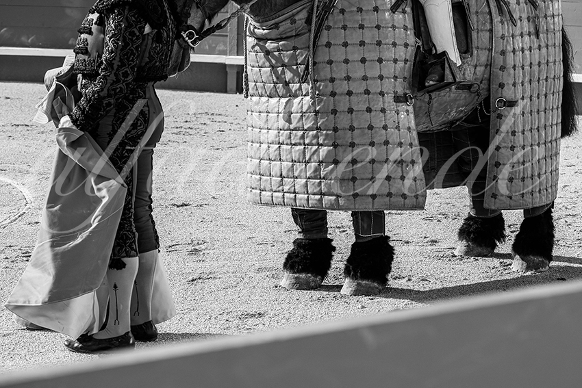 20250608 nimes tarde 013