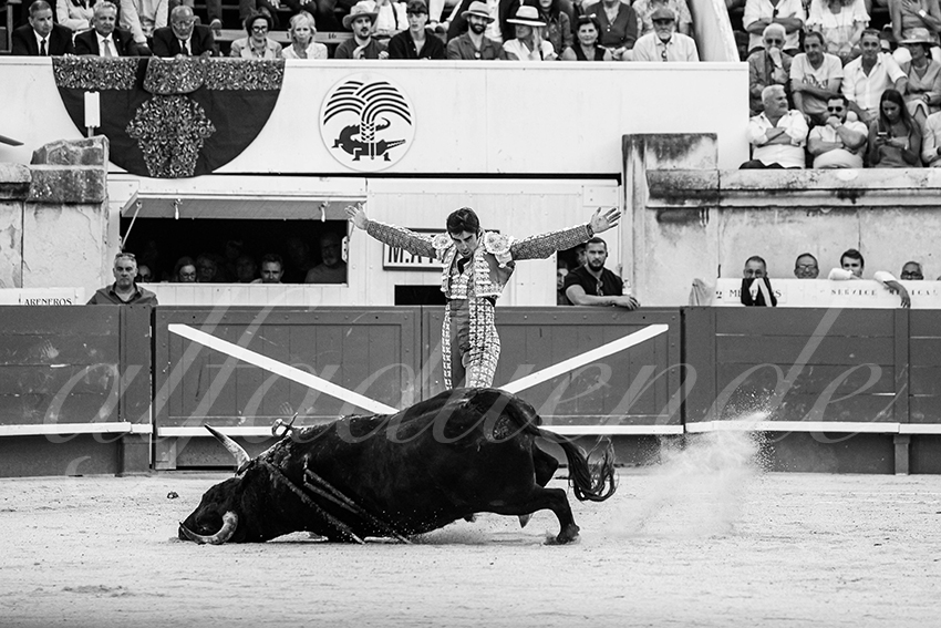 20250608 nimes tarde 012