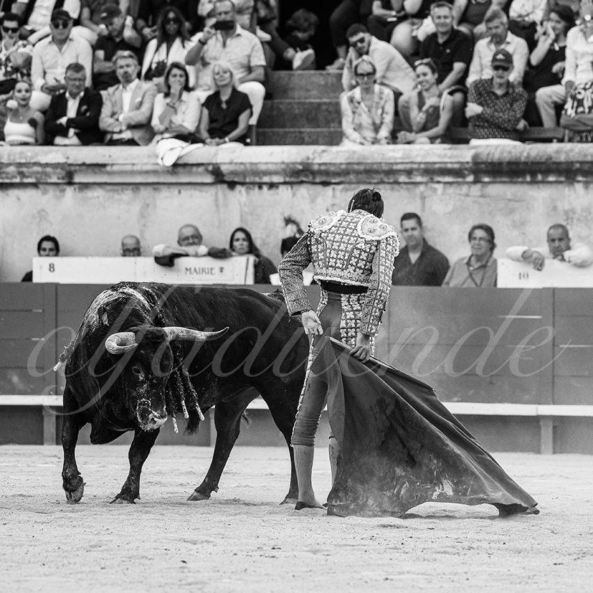 20250608 nimes tarde 011