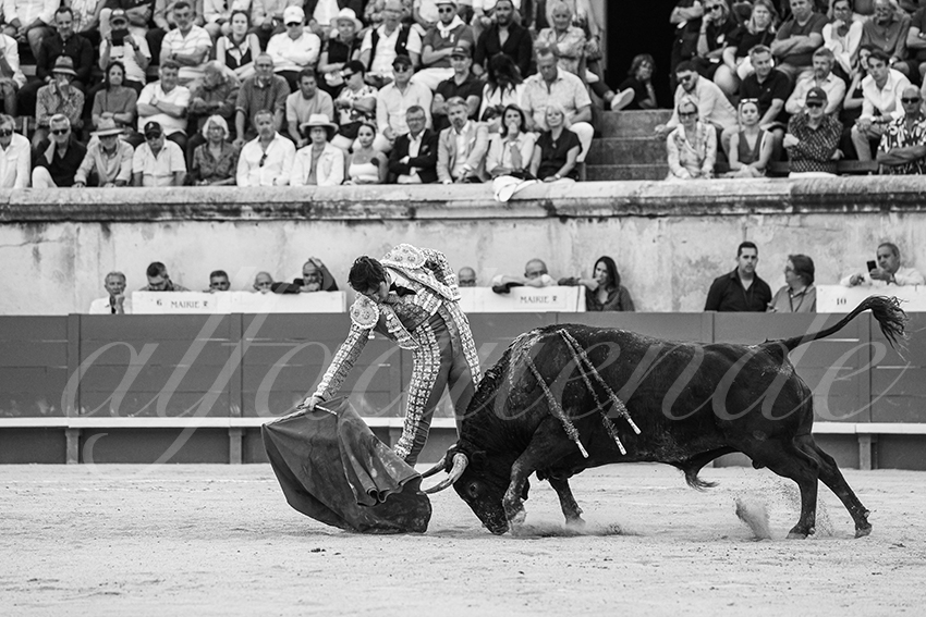 20250608 nimes tarde 010