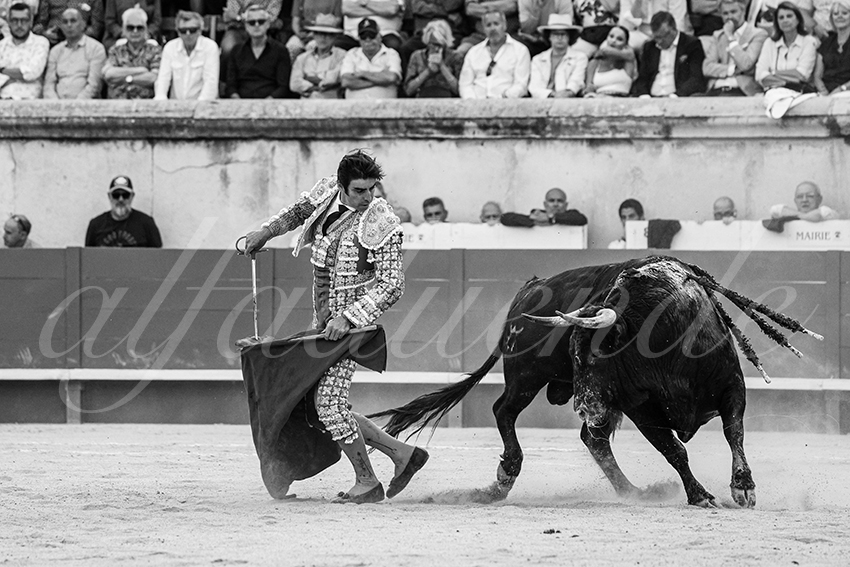 20250608 nimes tarde 009